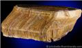 Rough Tiger's Eye Vein from Headwaters of the Orange River, Griqualand West, South Africa