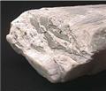 Ulexite Veins from Boron, Kern Co., California