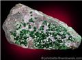 Uvarovite Crystals on Matrix from Saranovskoye Mine, Sarany, Permskaya Oblast', Ural Mountains, Russia