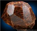 Large Brown Uvite Crystal from Bush Farm (formerly the Jones Farm), Richville, St. Lawrence County, New York