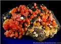 Bi-colored Vanadinite Crystals from Touissit Mine, south of Oujda, Morocco