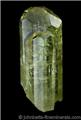 Prismatic Green Vesuvianite Crystal from Jeffrey Mine, Asbestos, Québec, Canada