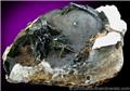Vivianite in Fossilized Clam from Kerch Iron-Ore Basin, astern Crimea, Ukraine