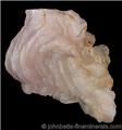 White to Light Pink Chalcedony from Galileia, Minas Gerais, Brazil