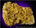 Yellowish Wulfenite Flakes from Bleiberg, Carinthia, Austria