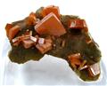 Stubby Wulfenite Crystals from Ahumada Mine, Sierra de Los Lamentos, Chihuahua, Mexico