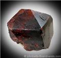 Single Dark-Red Zircon Crystal from Chilas, Northern Areas, Pakistan